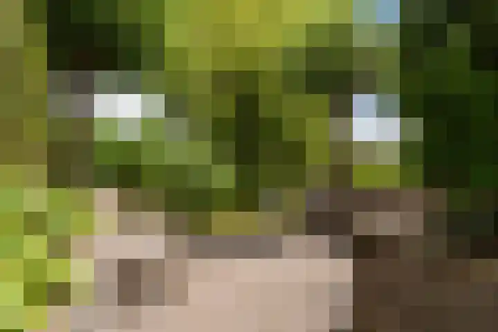 Narderherne 3 Wergea thumbnail 40