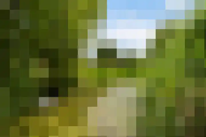 Narderherne 3 Wergea thumbnail 41