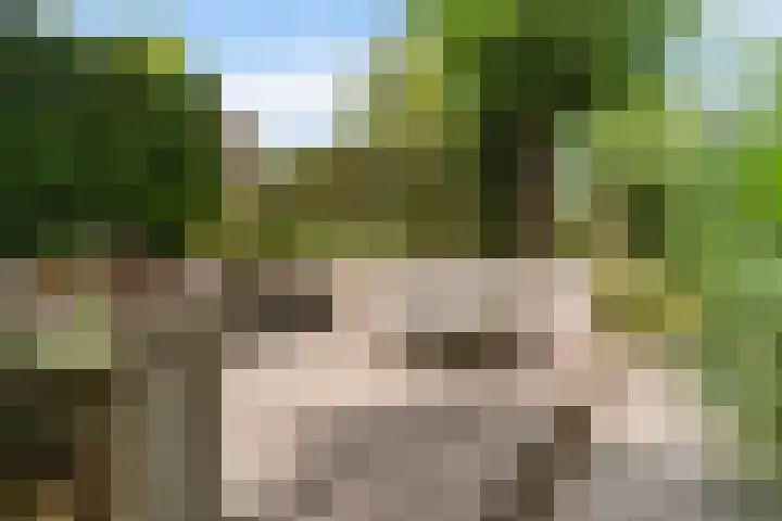 Narderherne 3 Wergea thumbnail 42