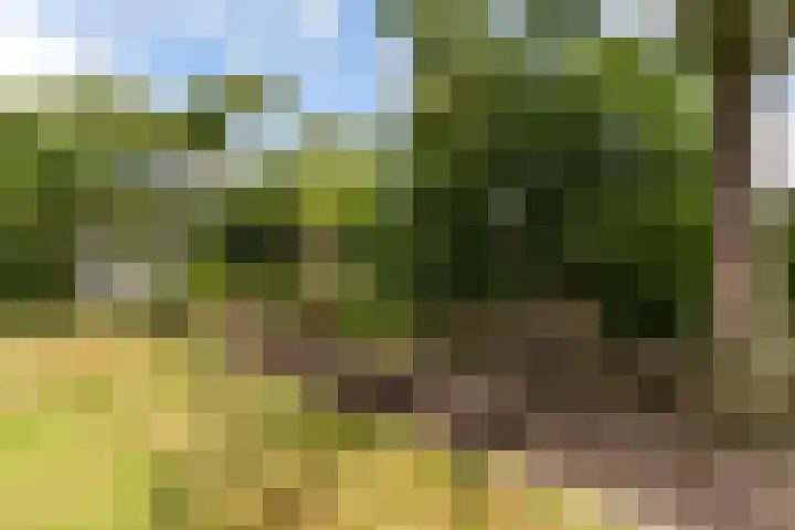 Narderherne 3 Wergea thumbnail 43