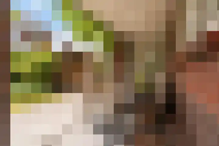 Narderherne 3 Wergea thumbnail 44
