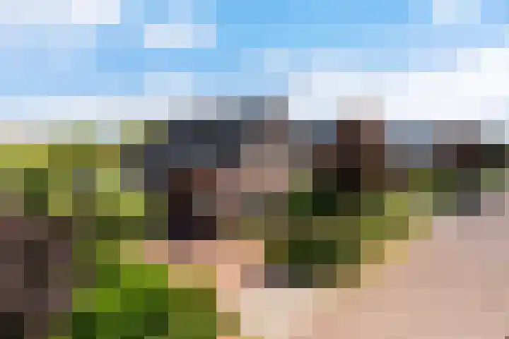 Narderherne 3 Wergea thumbnail 7