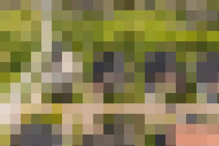 Narderherne 3 Wergea thumbnail 74