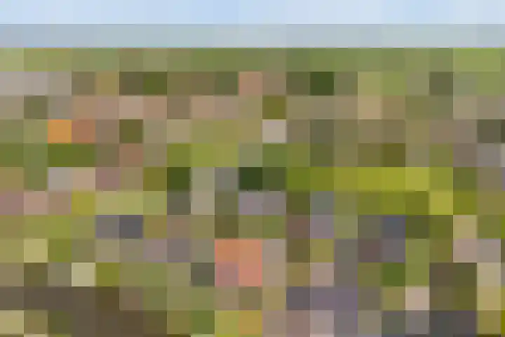 Narderherne 3 Wergea thumbnail 75