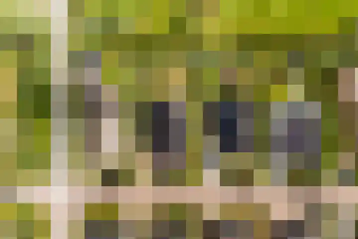 Narderherne 3 Wergea thumbnail 76