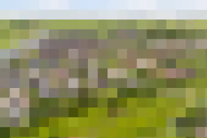 Narderherne 3 Wergea thumbnail 77