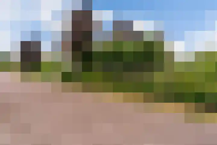 Narderherne 3 Wergea thumbnail 8