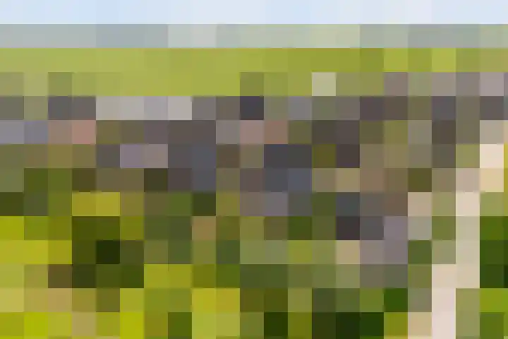 Narderherne 3 Wergea thumbnail 80