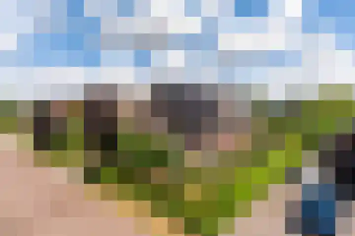 Narderherne 3 Wergea thumbnail 9