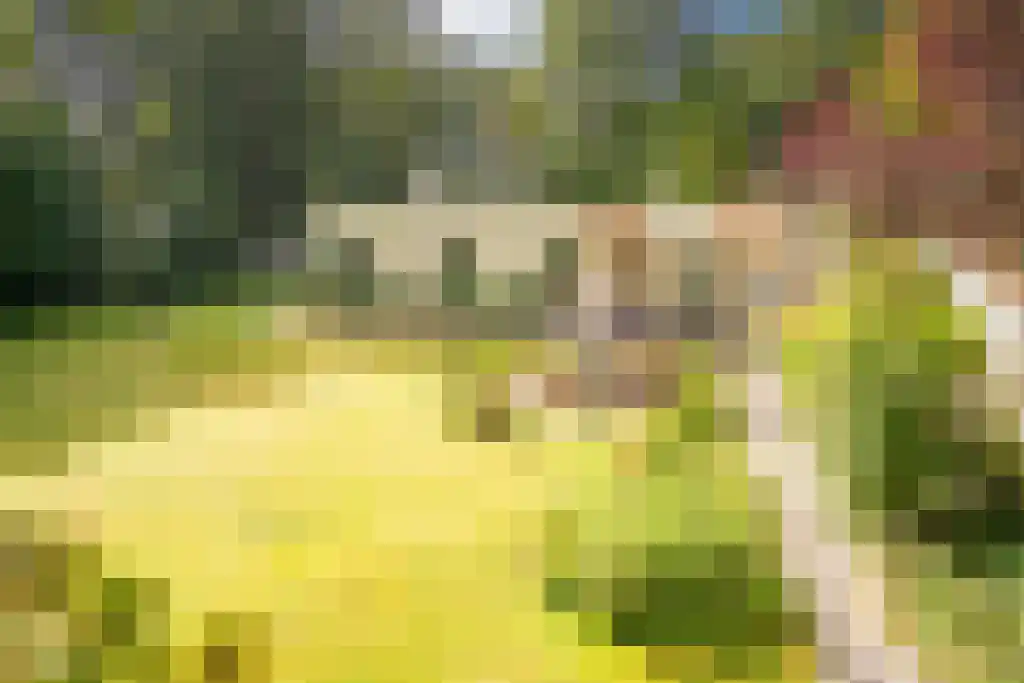Nardushoek 2 Knegsel thumbnail 4