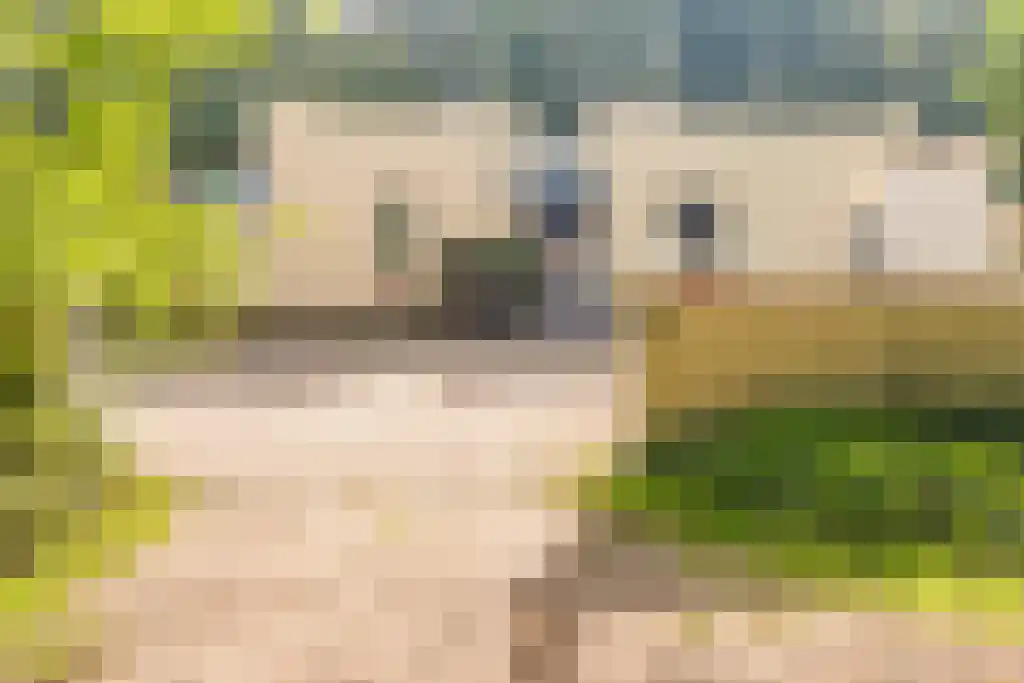 Nardushoek 2 Knegsel thumbnail 45