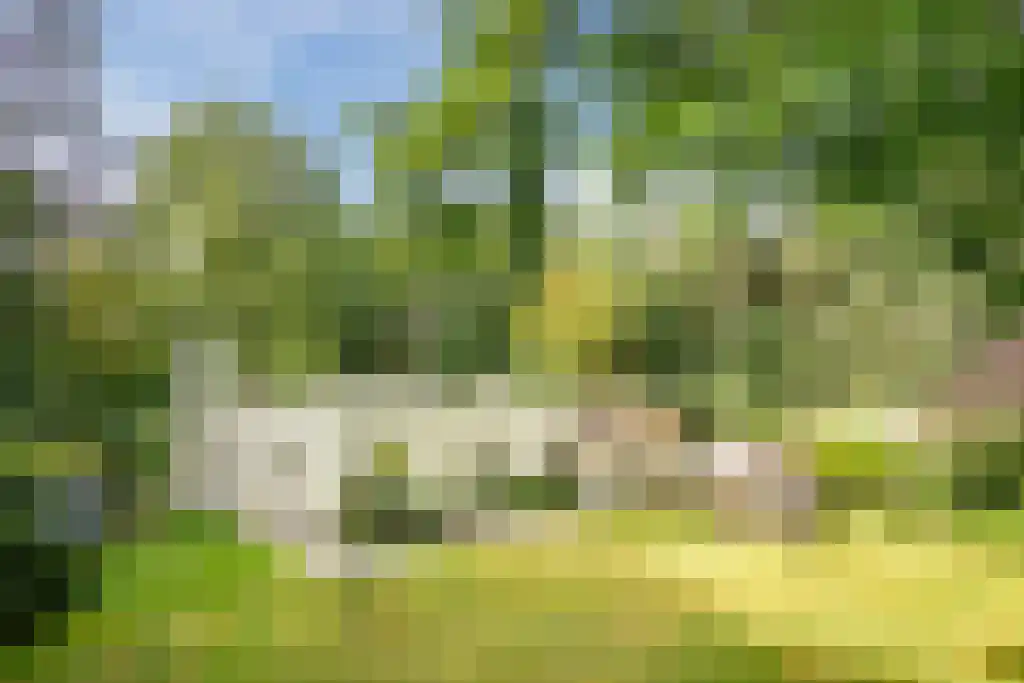 Nardushoek 2 Knegsel thumbnail 48