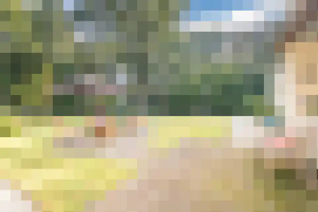 Nardushoek 2 Knegsel thumbnail 50