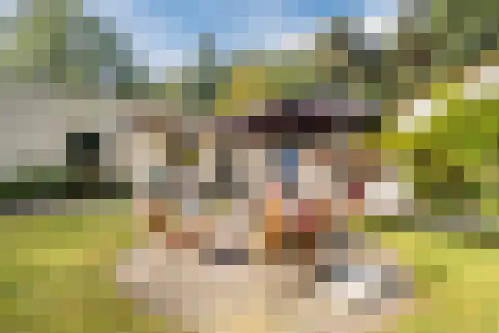 Nardushoek 2 Knegsel thumbnail 52