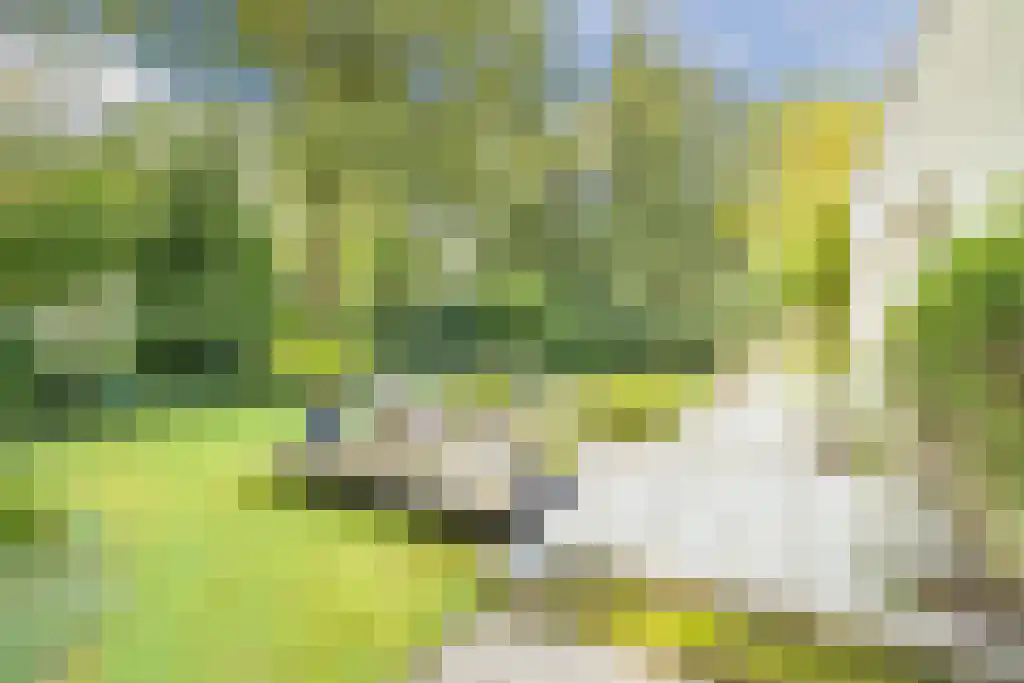 Nardushoek 2 Knegsel thumbnail 58