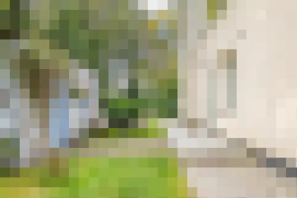 Nardushoek 2 Knegsel thumbnail 59