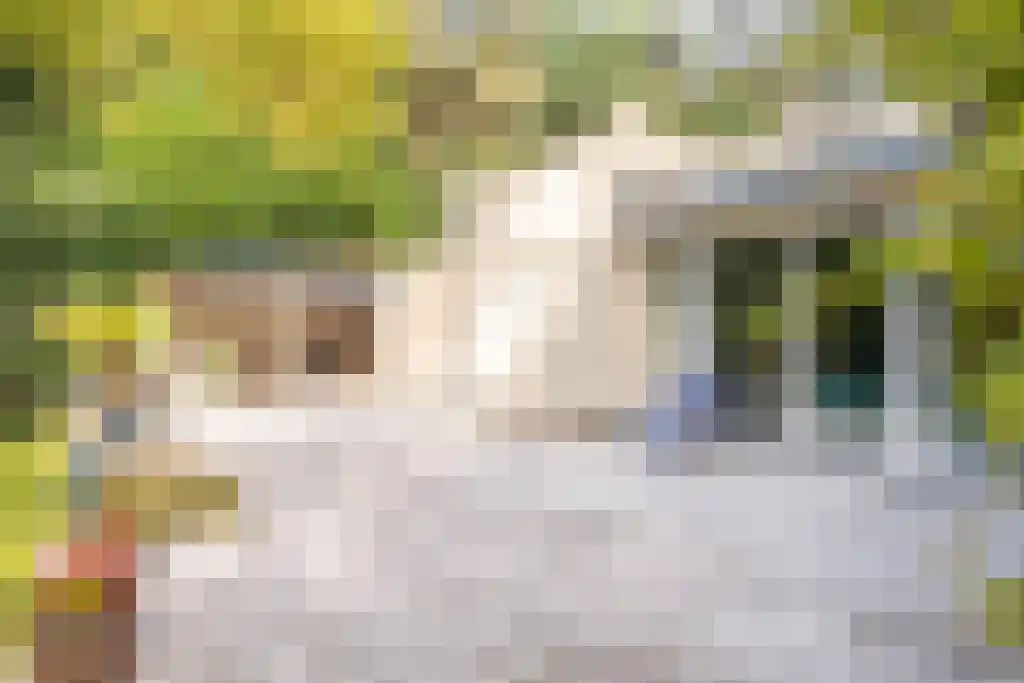 Nardushoek 2 Knegsel thumbnail 60