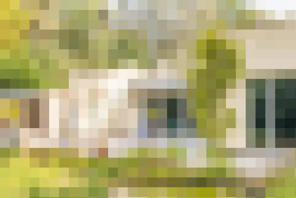 Nardushoek 2 Knegsel thumbnail 61