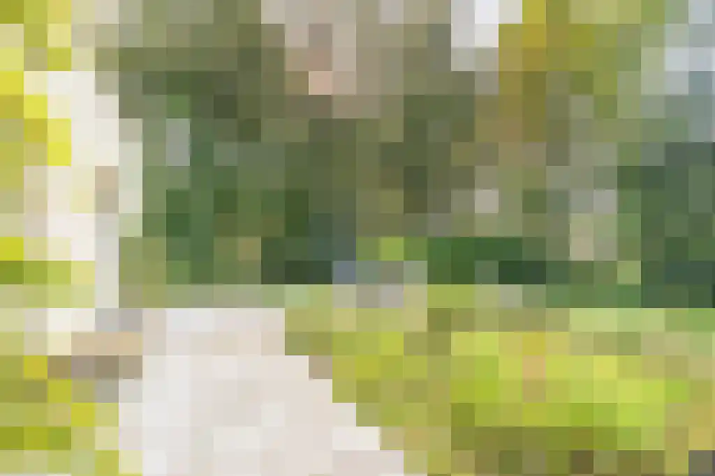 Nardushoek 2 Knegsel thumbnail 62