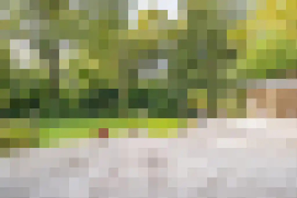 Nardushoek 2 Knegsel thumbnail 63