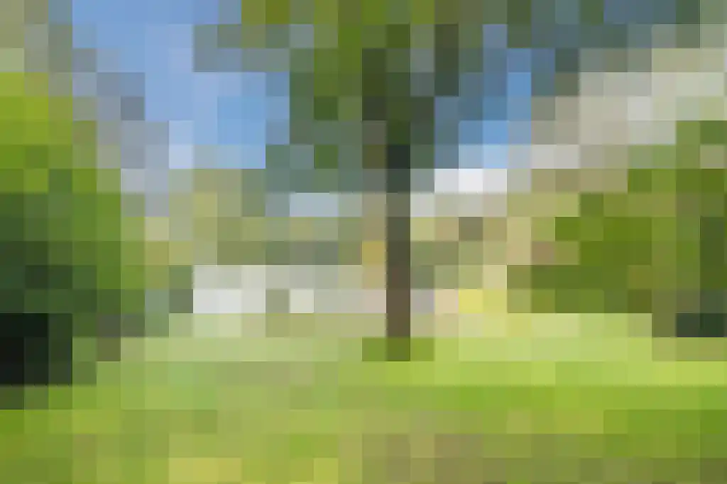 Nardushoek 2 Knegsel thumbnail 65