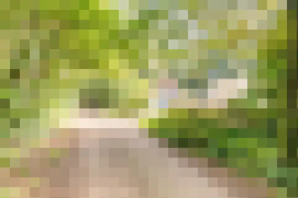 Nardushoek 2 Knegsel thumbnail 66