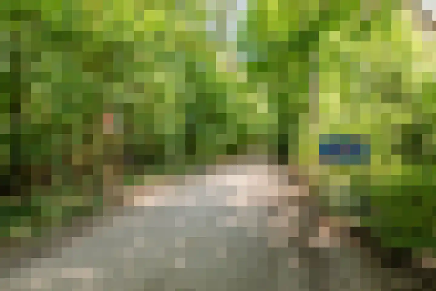 Nardushoek 2 Knegsel thumbnail 70