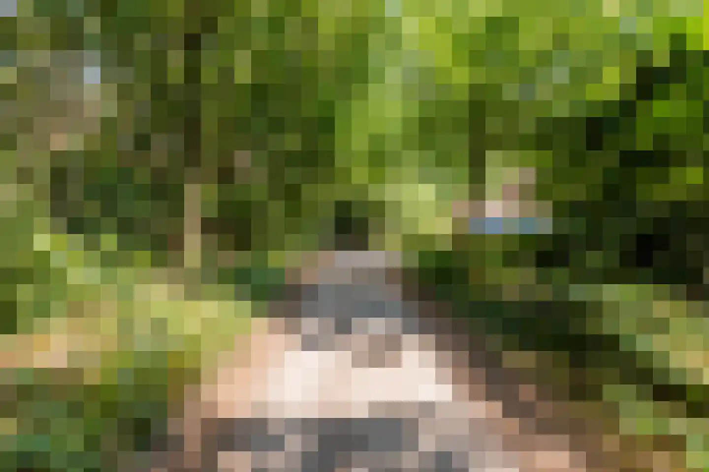 Nardushoek 2 Knegsel thumbnail 71