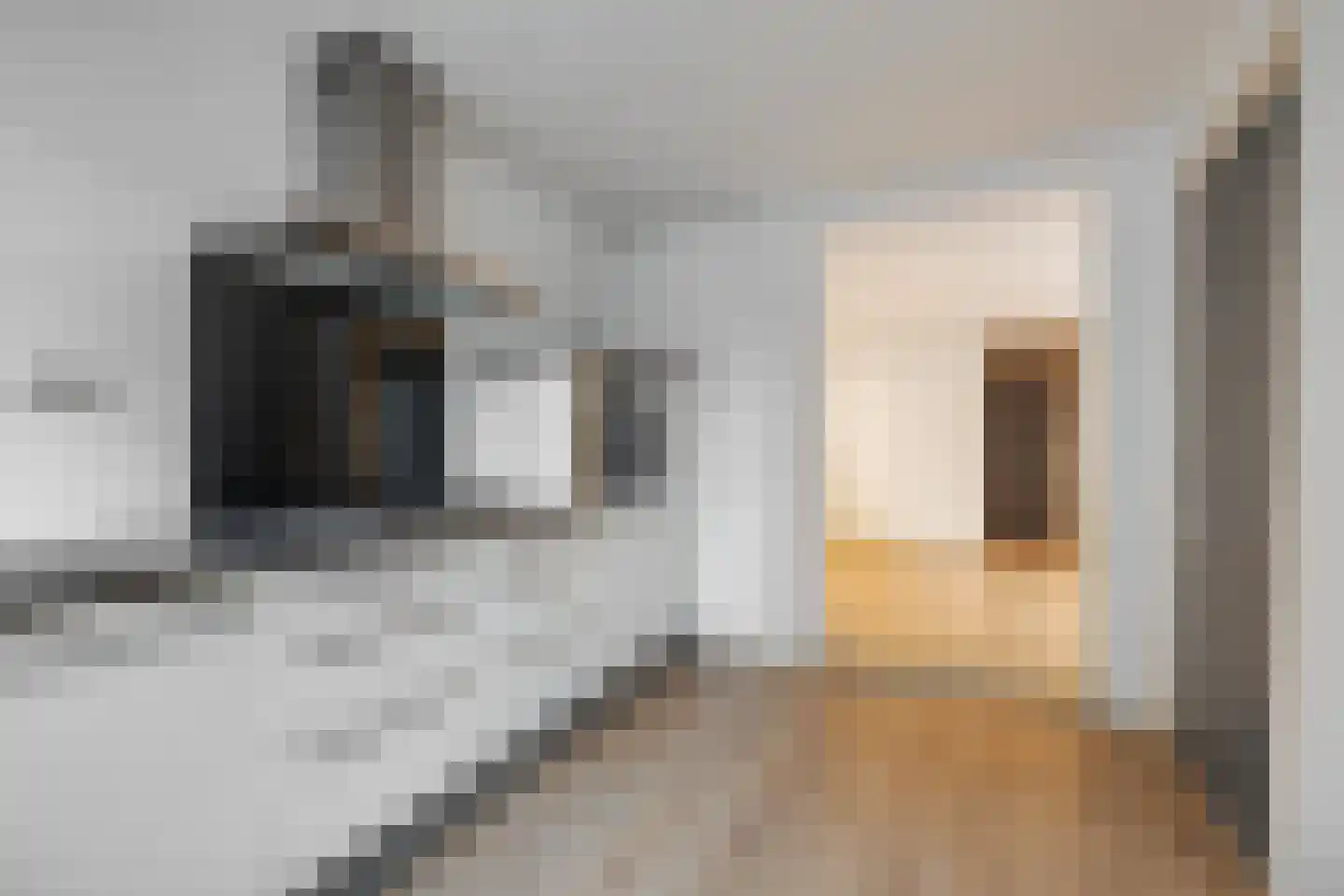Narmstraat 18 Leiden thumbnail 8