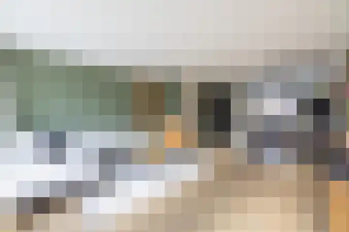 Narmstraat 23 Leiden thumbnail 16