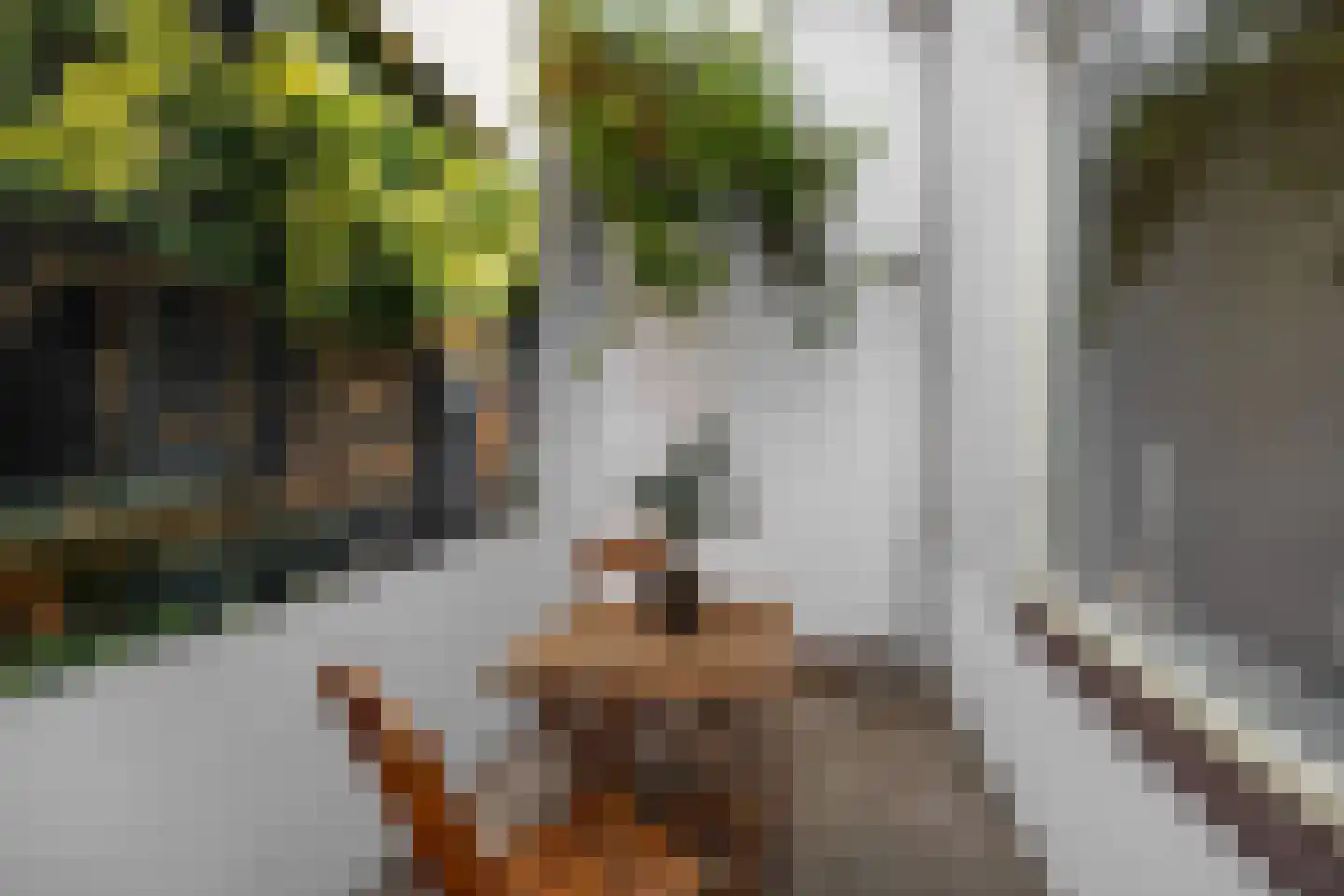 Narmstraat 33 Leiden thumbnail 19