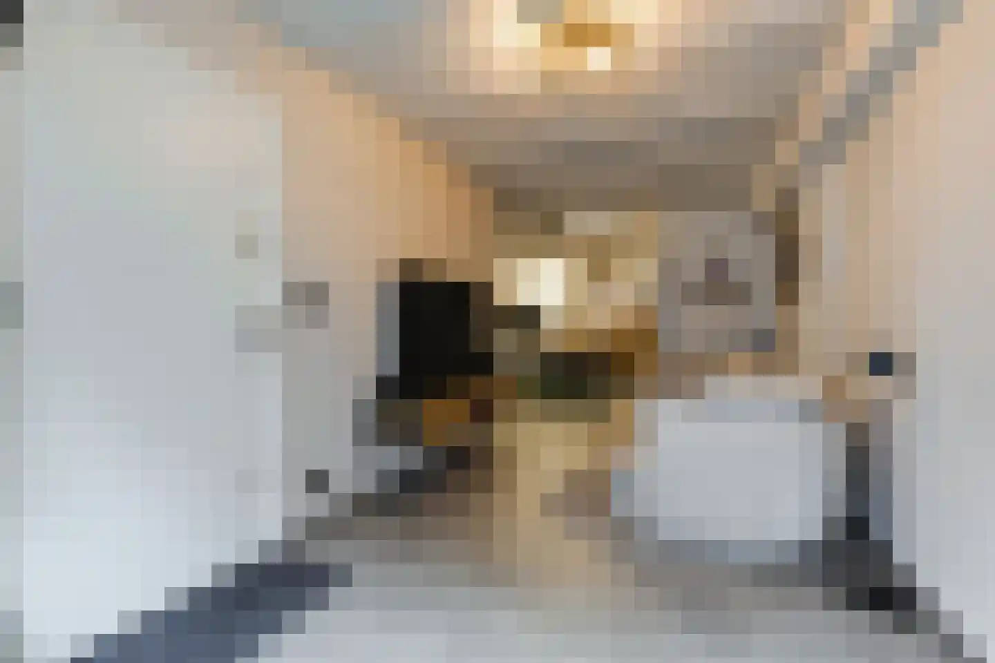 Narmstraat 6 A Leiden thumbnail 5