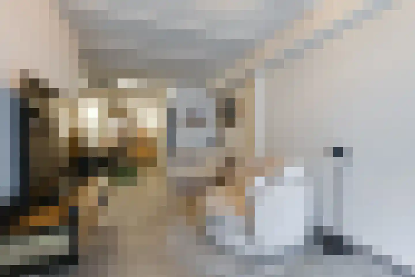 Narmstraat 6 A Leiden thumbnail 6