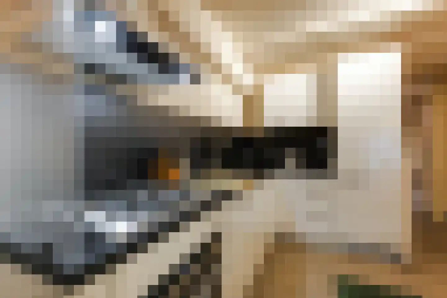 Narmstraat 6 A Leiden thumbnail 9