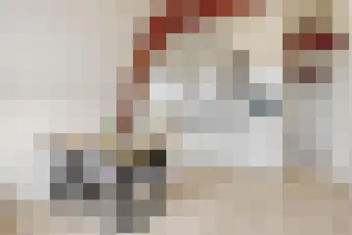 Narmstraat 6 Leiden thumbnail 6