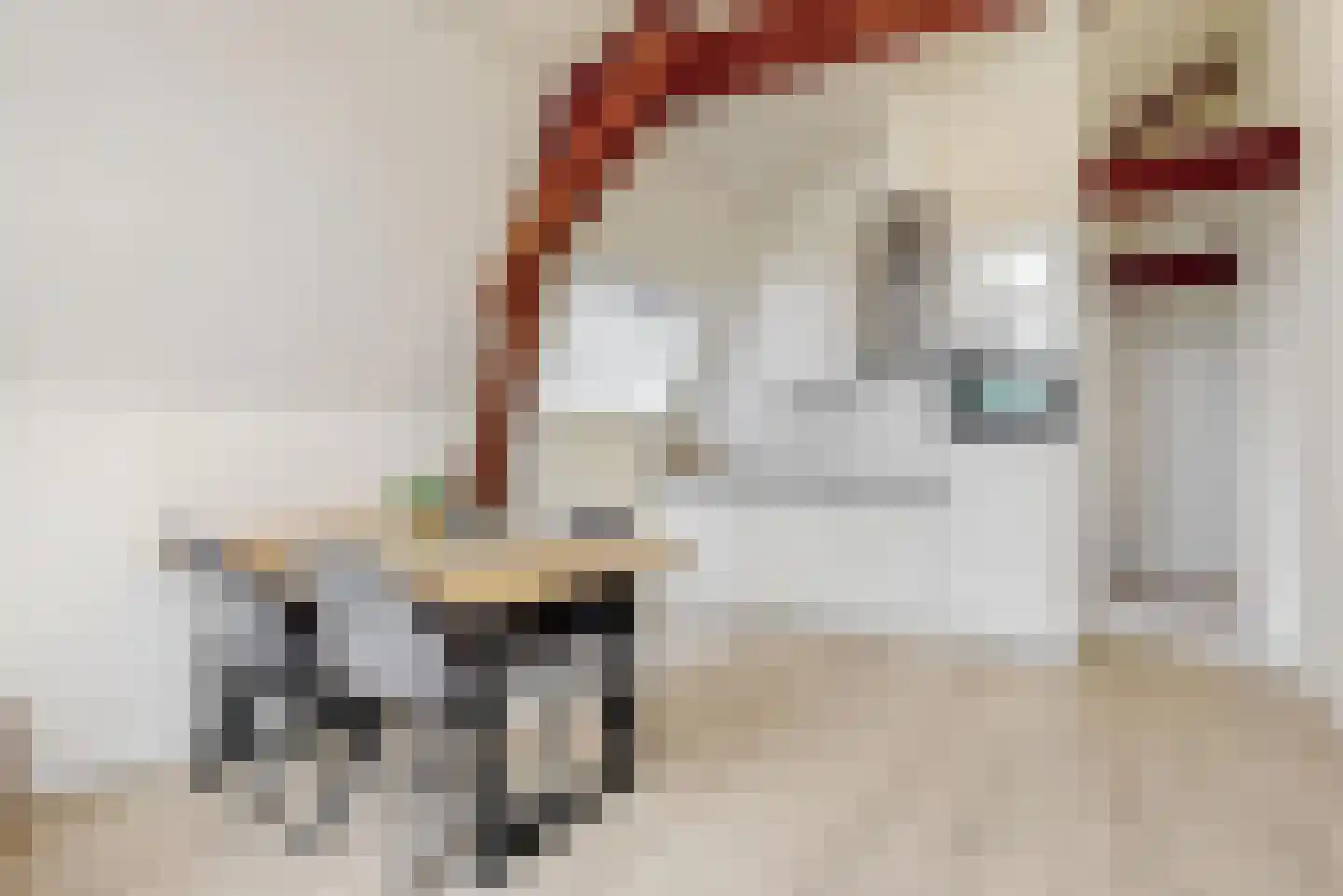 Narmstraat 6 Leiden thumbnail 6