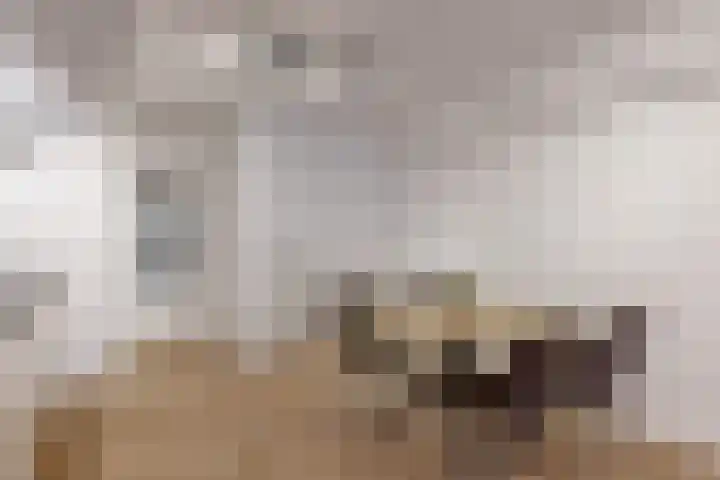 Narmstraat 8 Leiden thumbnail 6