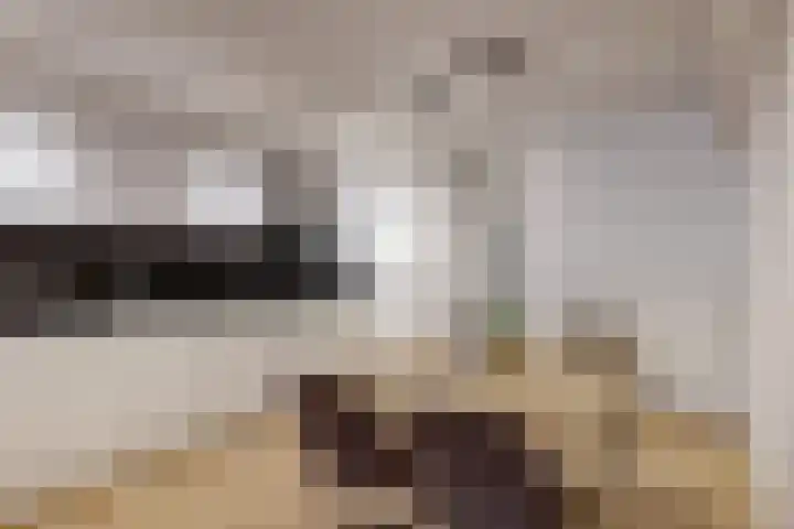 Narmstraat 8 Leiden thumbnail 8