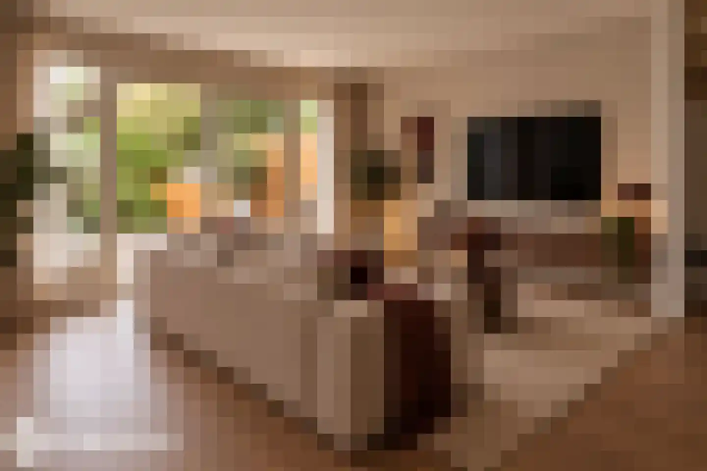 Narva 4 Leerdam thumbnail 15