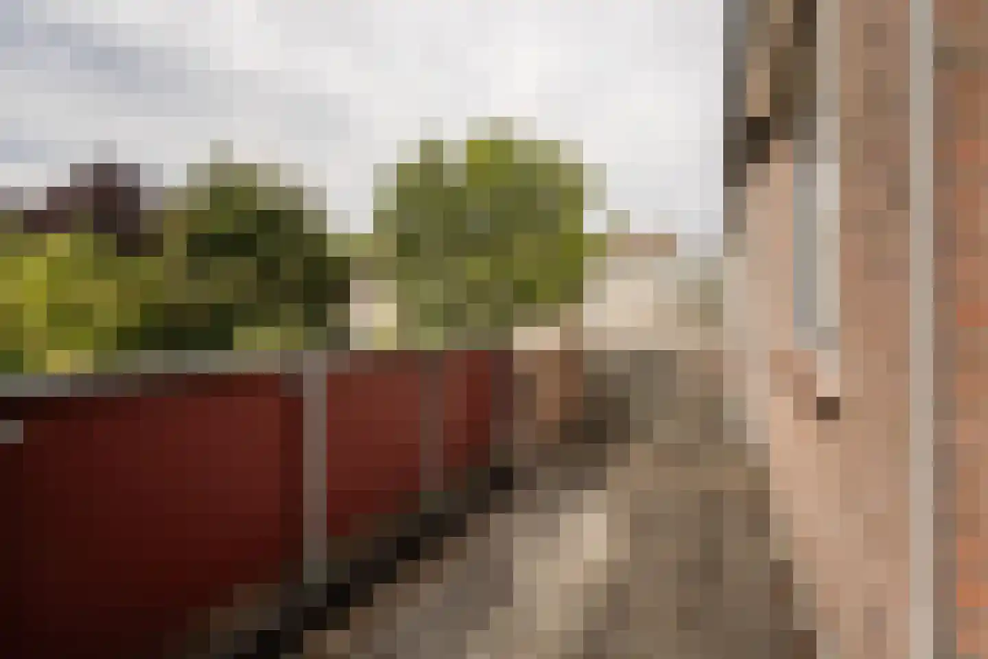 Narva 4 Leerdam thumbnail 32