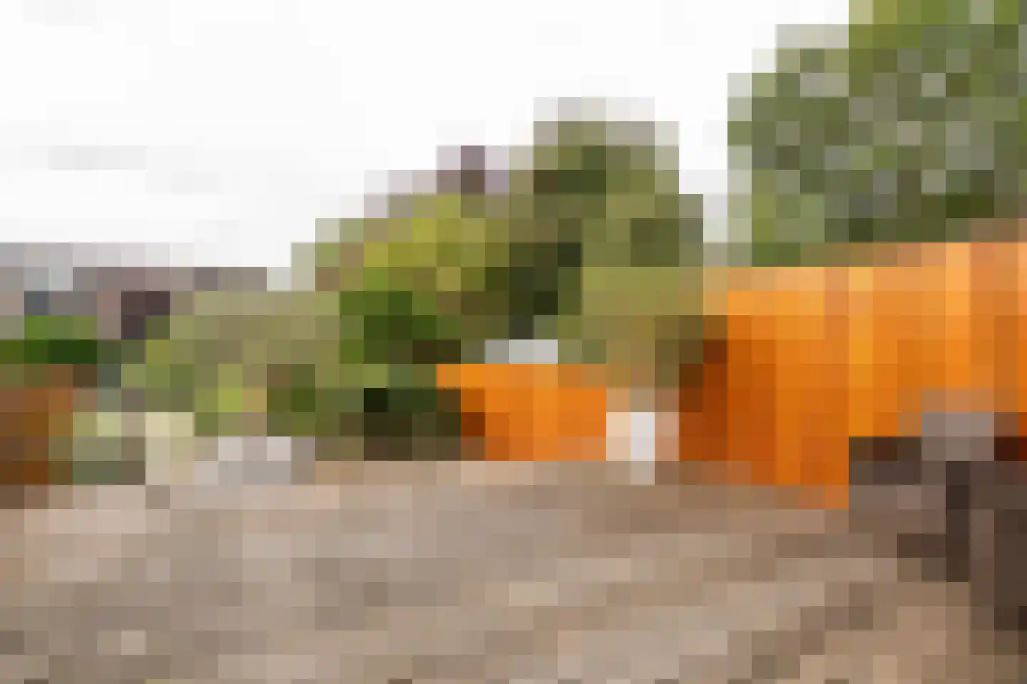 Narva 4 Leerdam thumbnail 39