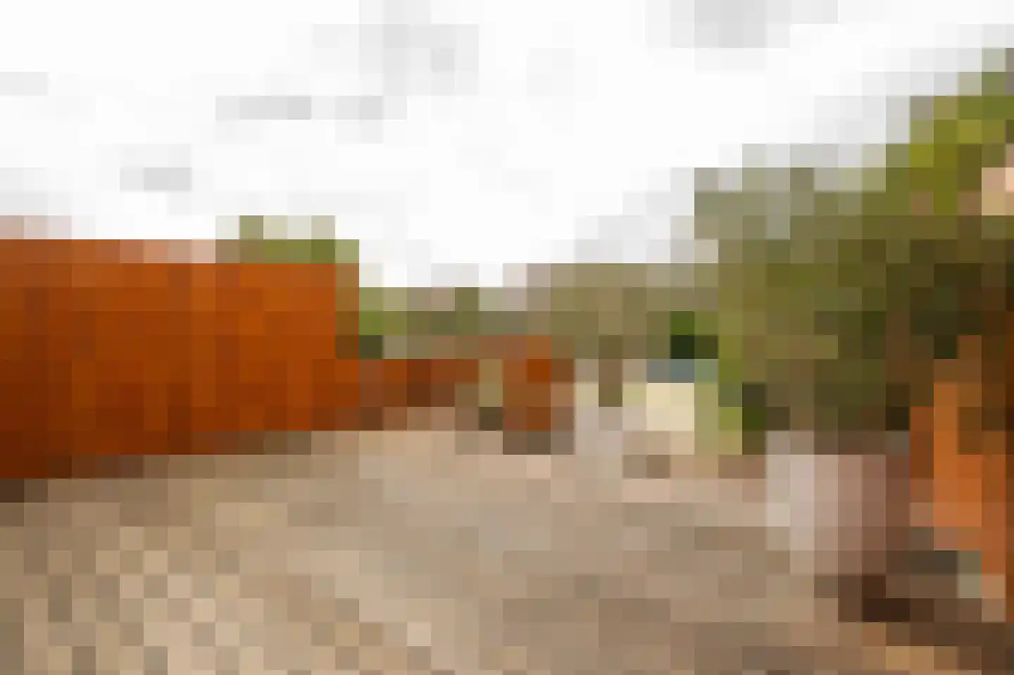 Narva 4 Leerdam thumbnail 40
