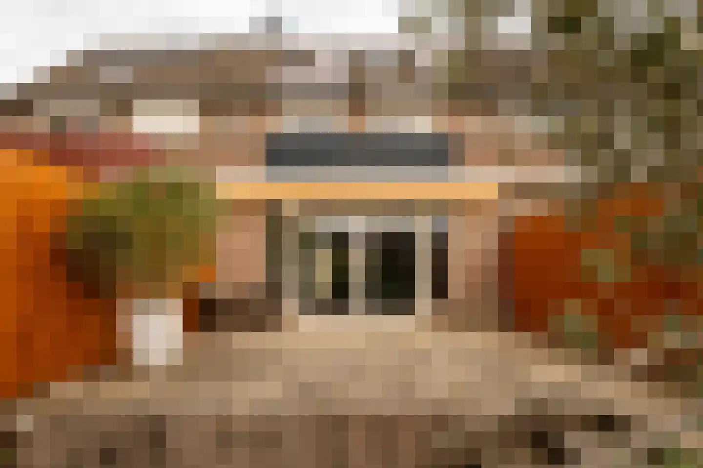 Narva 4 Leerdam thumbnail 41