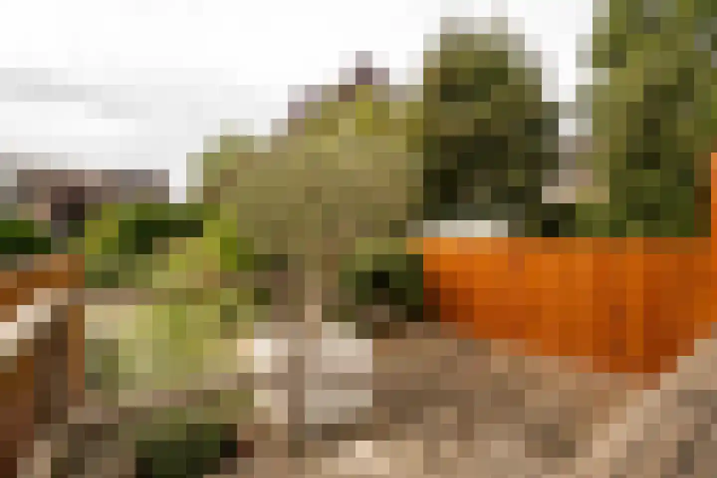 Narva 4 Leerdam thumbnail 42