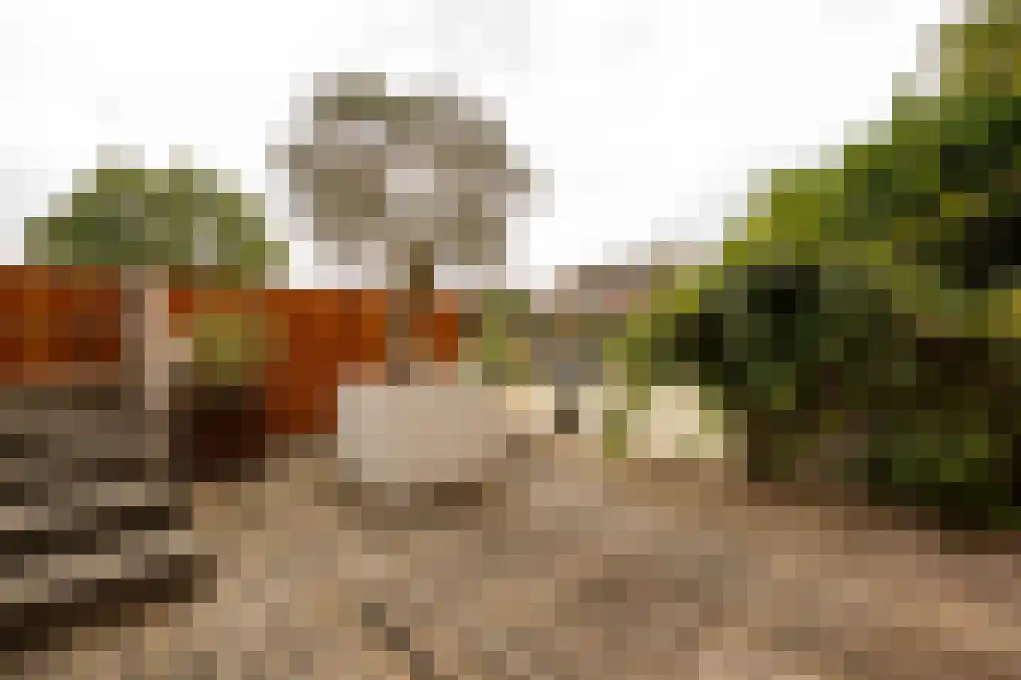 Narva 4 Leerdam thumbnail 43