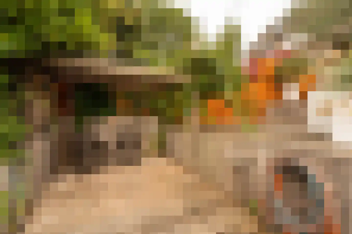 Narva 4 Leerdam thumbnail 44