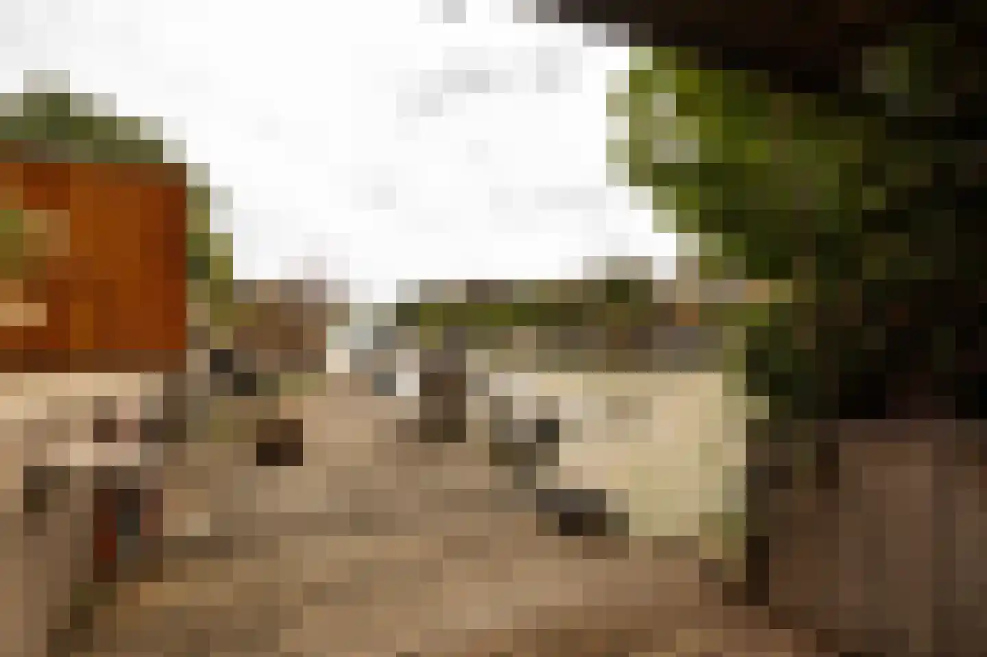 Narva 4 Leerdam thumbnail 45