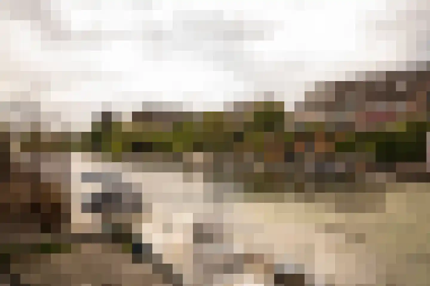 Narva 4 Leerdam thumbnail 46