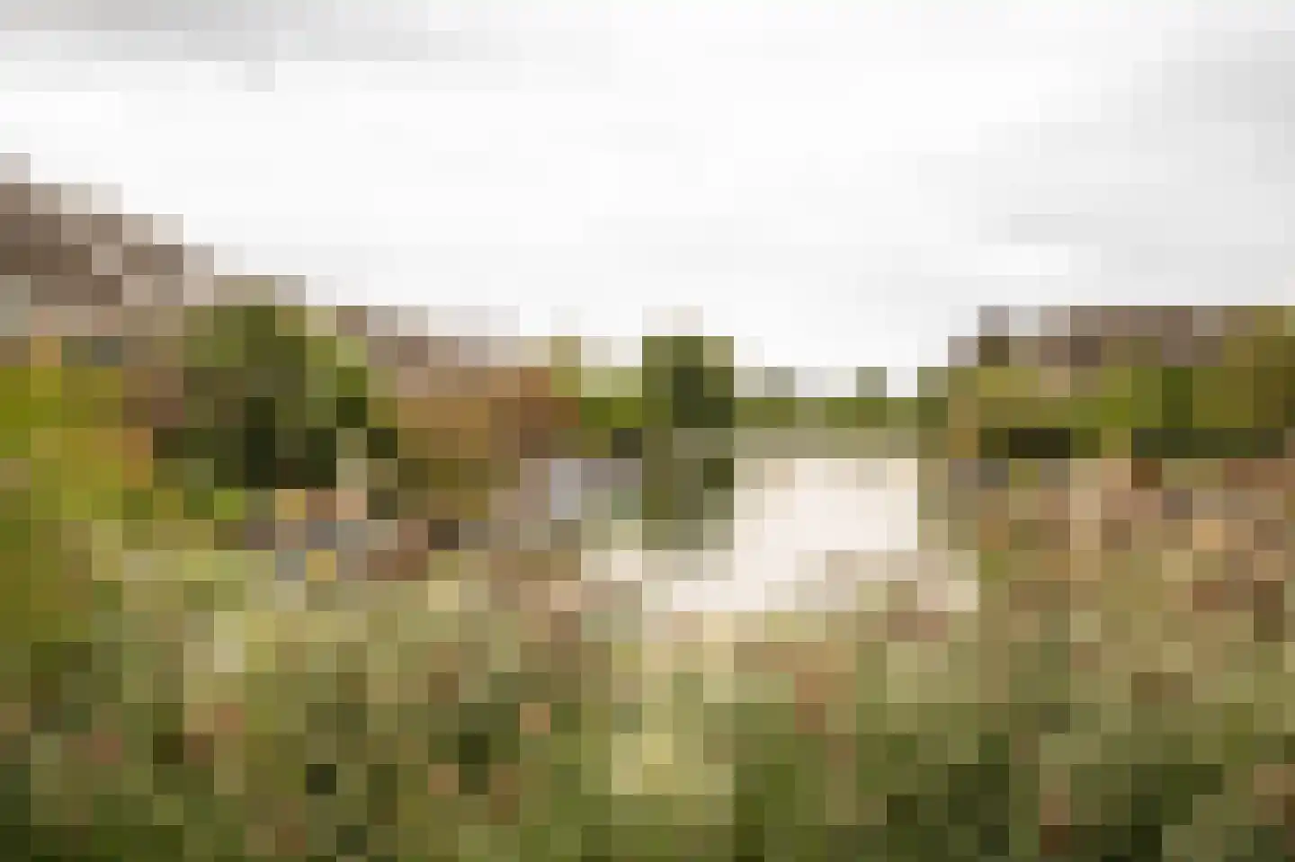 Narva 4 Leerdam thumbnail 47
