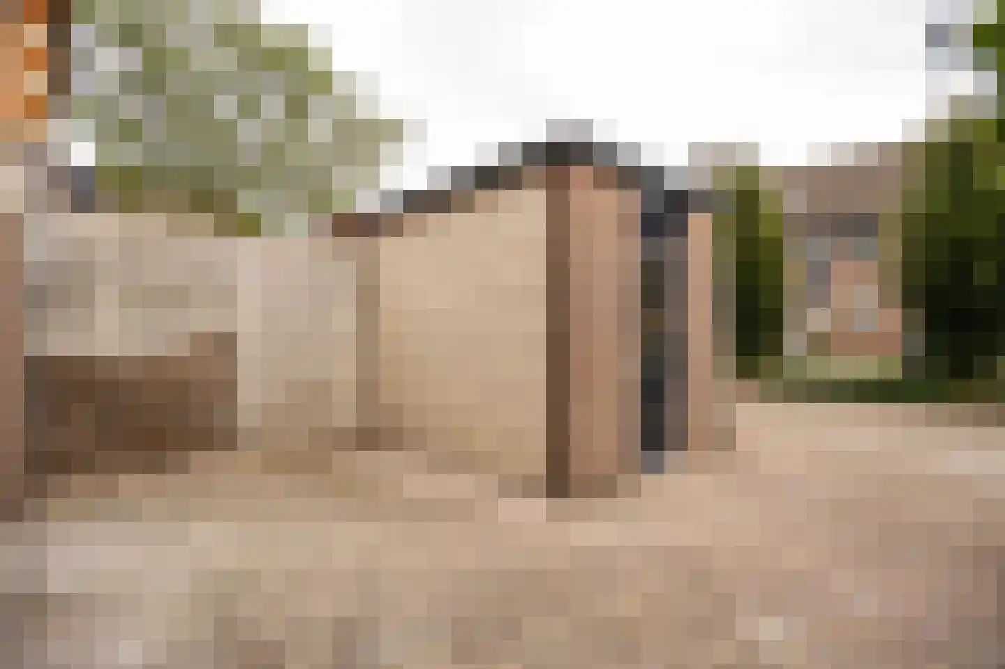 Narva 4 Leerdam thumbnail 48